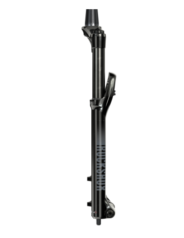 Horquilla Rock Shox 35 Gold 29 100mm A2 15x110mm