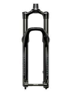 Horquilla Rock Shox 35 Gold 29 100mm A2 15x110mm 2