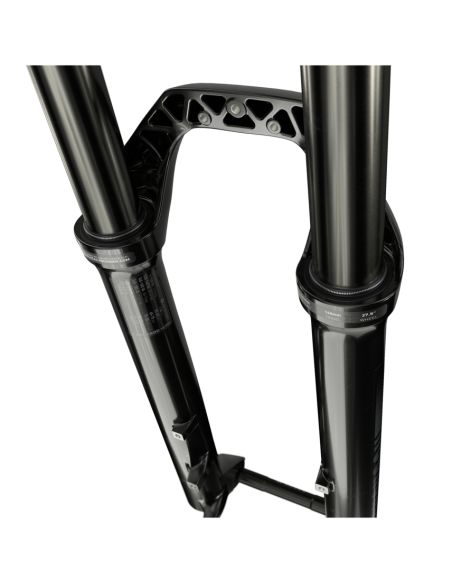 Horquilla Rock Shox 35 Gold 29 100mm A2 15x110mm