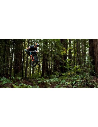 Horquilla Fox 38 Float aro 29 - 170mm...