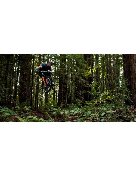 Horquilla Fox 38 Float aro 29 - 170mm GRIP2 - Black