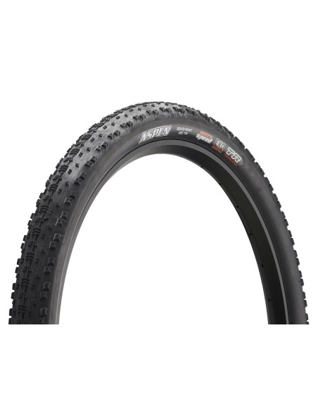 Maxxis ASPEN MaxxSpeed/EXO/TR 170TPI 29x2.40