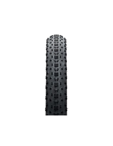Maxxis ASPEN MaxxSpeed/EXO/TR 170TPI...