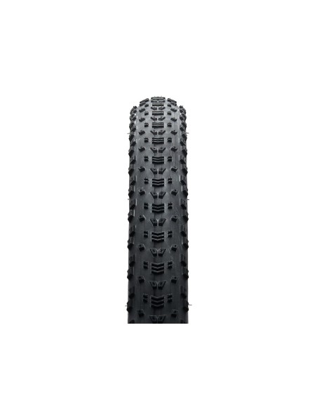 Maxxis ASPEN MaxxSpeed/EXO/TR 170TPI 29x2.40