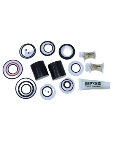 Kit de Servicio 200H Vivid Gen C V2