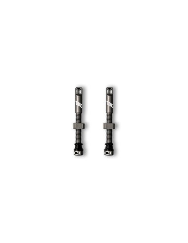 Válvula Tubeless Title Gris 44mm