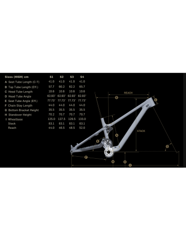 BICICLETA DH PIVOT PHOENIX SAINT...