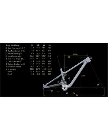 BICICLETA DH PIVOT PHOENIX SAINT...