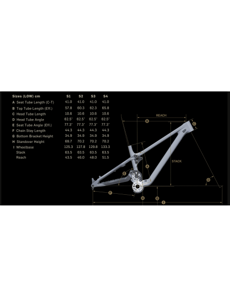 BICICLETA DH PIVOT PHOENIX SAINT BLACK GOLD
