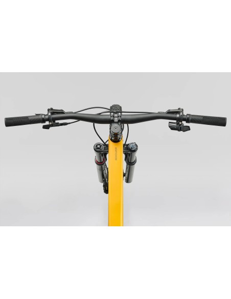 NUEVA: Norco Revolver C2 120, aro 29 2026 | Fast Black Raw Carbon / Golden Larch