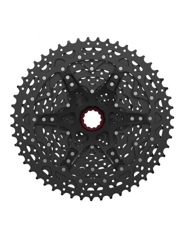 Piñon Sunrace MZ800 12V 11-51T,...