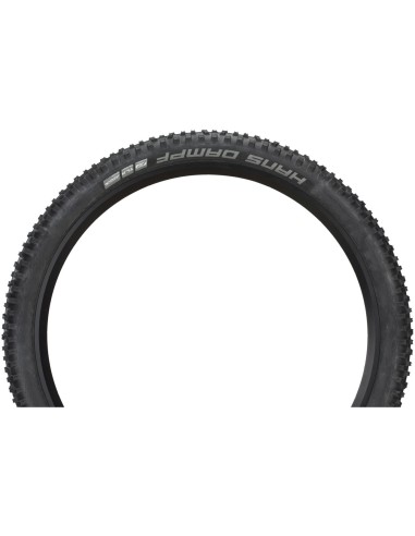 Neumático Schwalbe Hans Dampf...